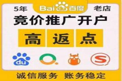 实战经验：竞价推广公司成功案例解析