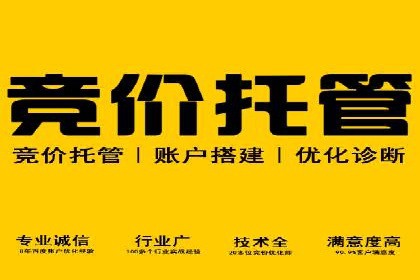 创新引领者：某信息流广告公司的技术突破案例